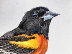 "Season Marker" Acquerello con oriolo di Baltimora, libro e foglie