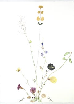 Watercolour Still-life Drawings and Watercolours