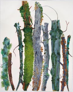 Still-life Drawings and Watercolors
