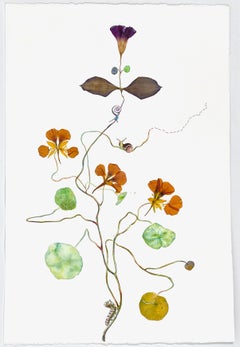 Marilla Palmer "Some are Shining" Watercolor, pressed flowers on Arches paper