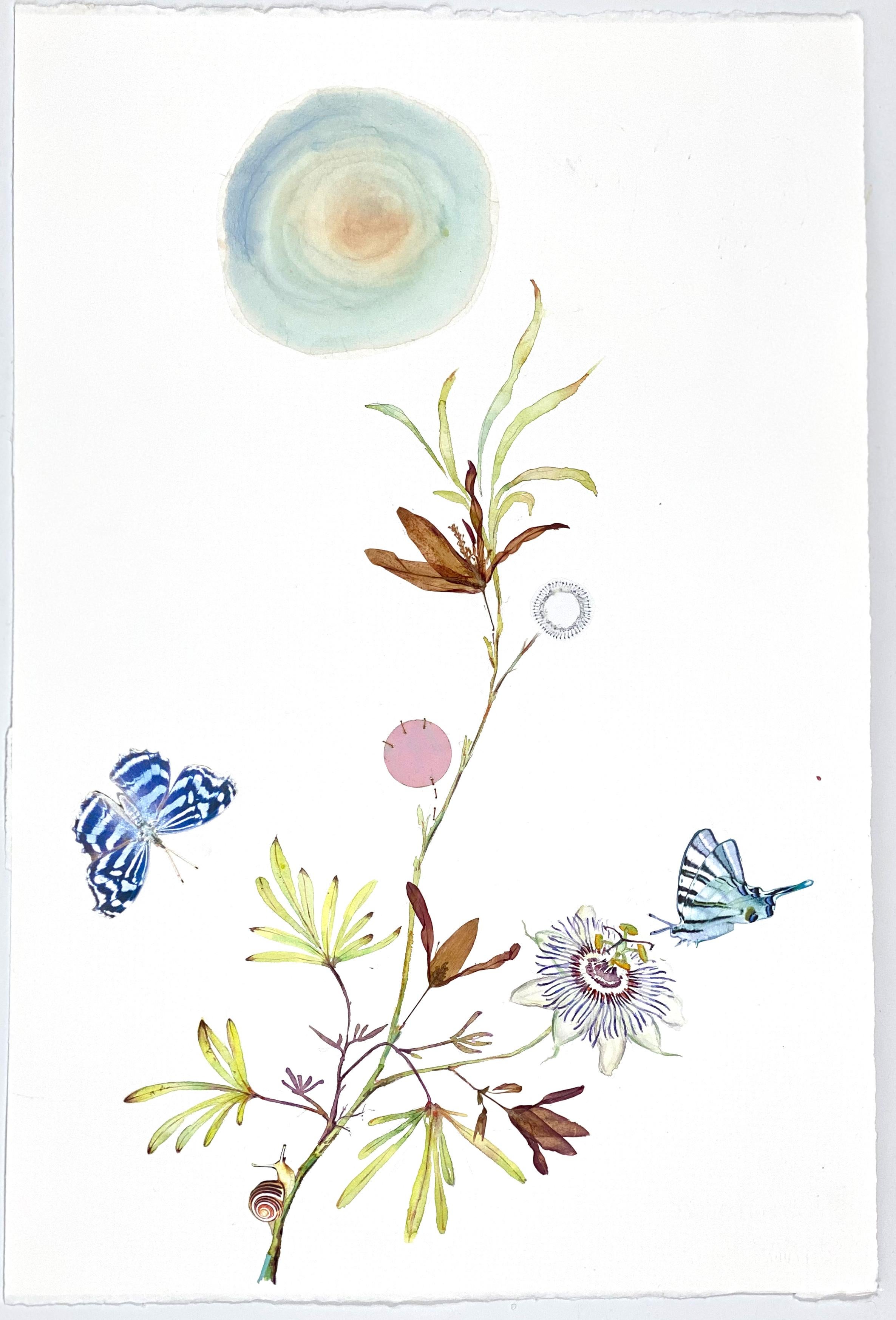 Marilla Palmer
Moonlight Flutters, 2021
watercolor, pressed flowers on Arches paper
22 x 15 in.
(pal201)

This original artwork by Marilla Palmer is a twist on the traditional Victorian botanical drawing, delicately painted with watercolor and