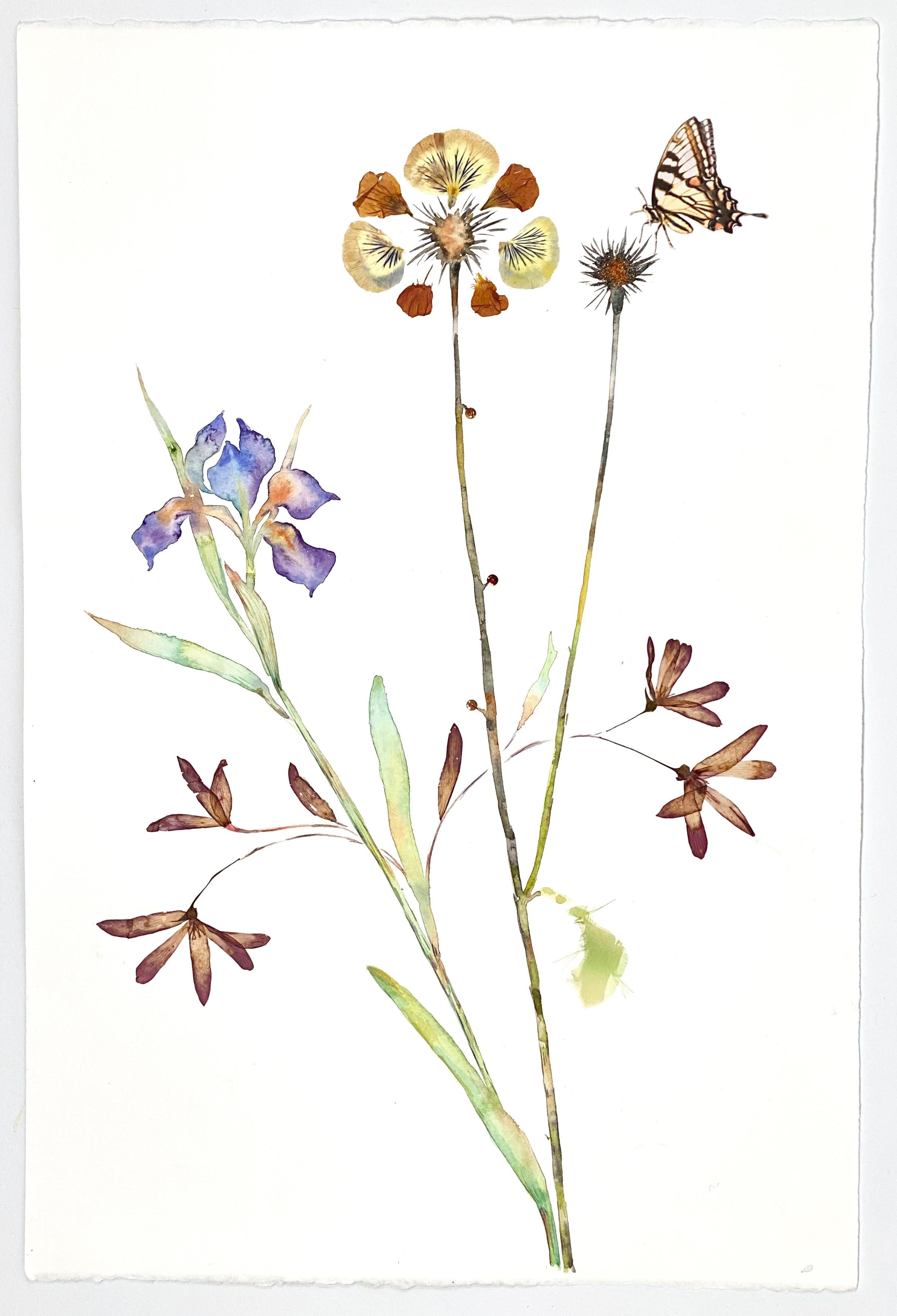 watercolor dried flowers
