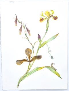 Marilla Palmer "Monarch Loves the Iris" - Watercolor and Flowers on Paper