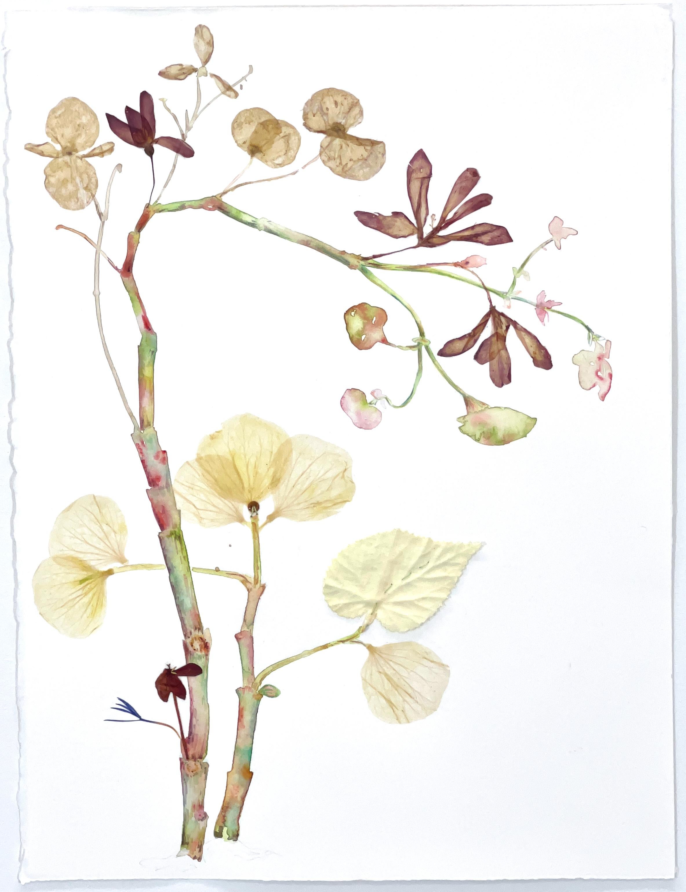 Marilla Palmer "Flowers Like fans" (Fleurs comme fans) - Aquarelle et fleurs pressées sur papier