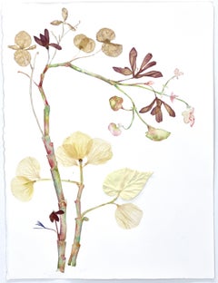 Marilla Palmer "Flowers Like fans" (Fleurs comme fans) - Aquarelle et fleurs pressées sur papier