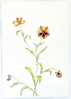 Marilla Palmer "Parrot, Poppy, and Lily" Pressed Flowers on Paper