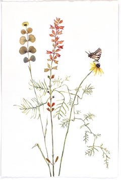 Marilla Palmer "Salvia and Cardinal Vine" Pressed Flowers on Paper