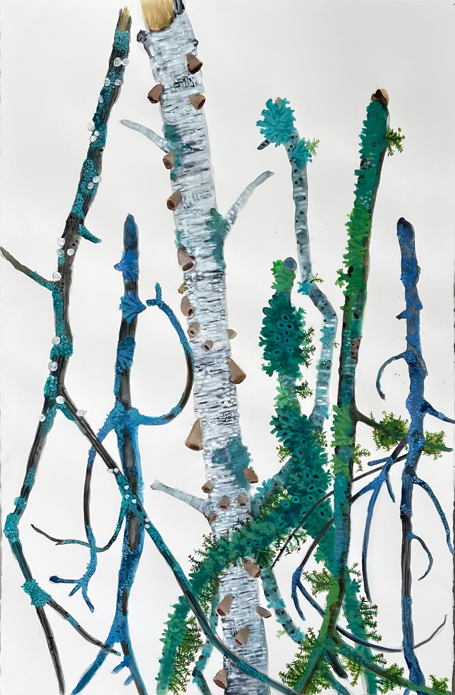 Dieses Original-Aquarell auf Papier von Katie DeGroot zeigt eine Vielzahl von Baumstämmen, die mit blauen, braunen und grünen Moosen und Pilzen vor einem weißen Hintergrund geschmückt sind. Die Künstlerin stellt bei Kathryn Markel Fine Arts in New