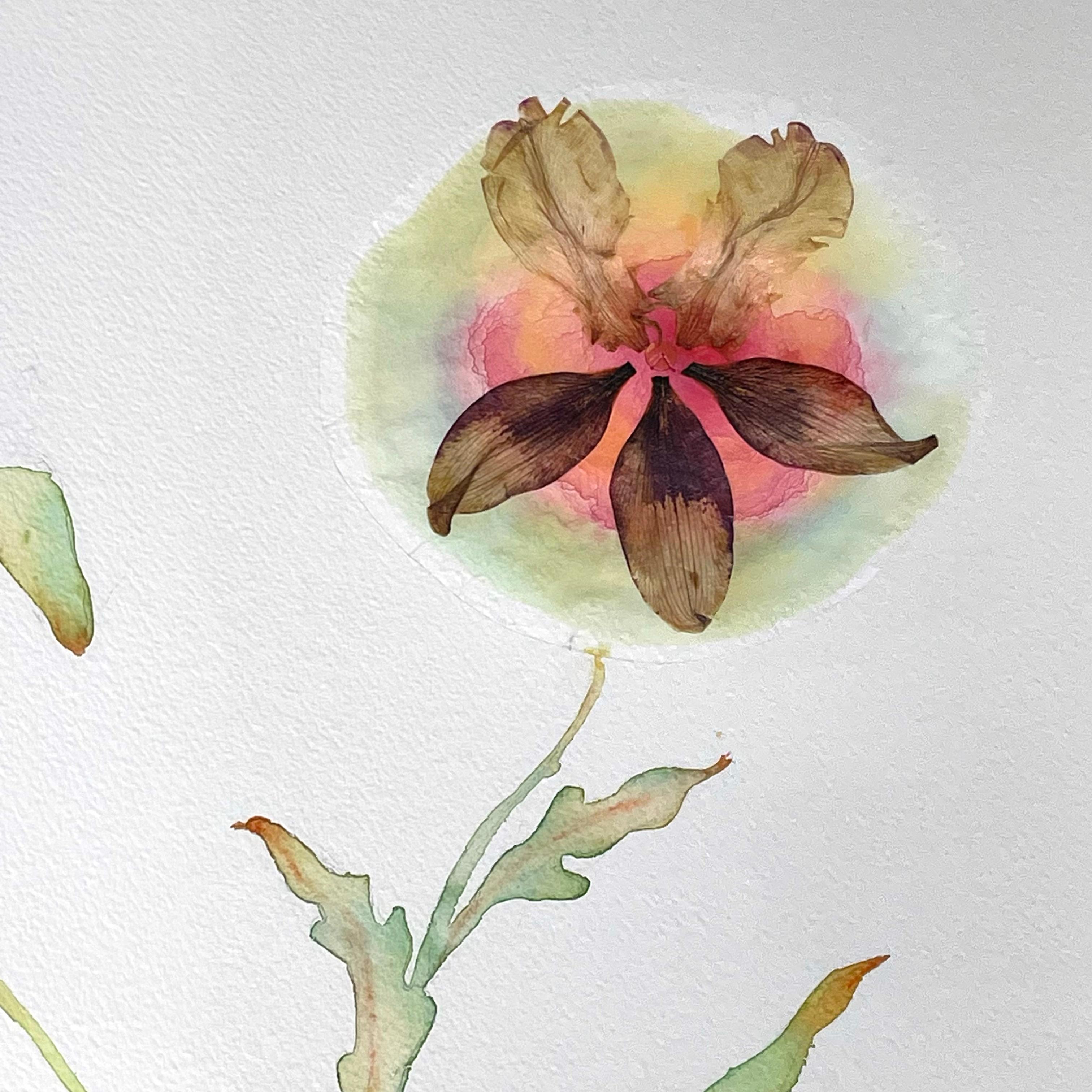 Marilla Palmer: „ Papagei, Mohnblumen und Lilie“, gepresste Blumen auf Papier im Angebot 1