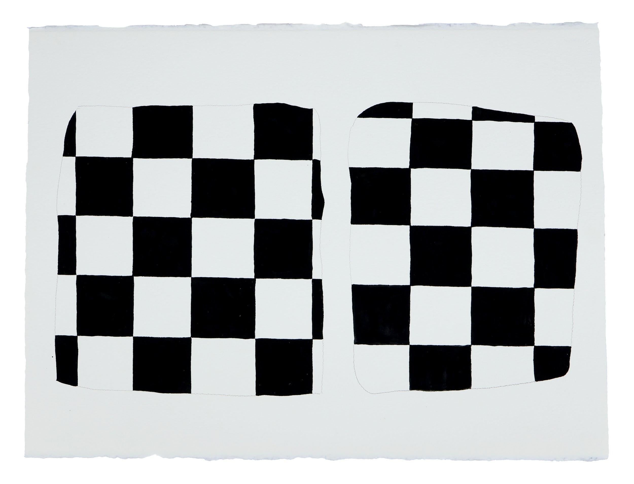 Questo dipinto astratto contemporaneo in acrilico su carta presenta intricate formazioni di segni in bianco e nero. Il pensiero di D'Arcy è impulsivo e casuale, i segni sono intensi e meditativi e le forme e i colori a cui danno forma sono arbitrari