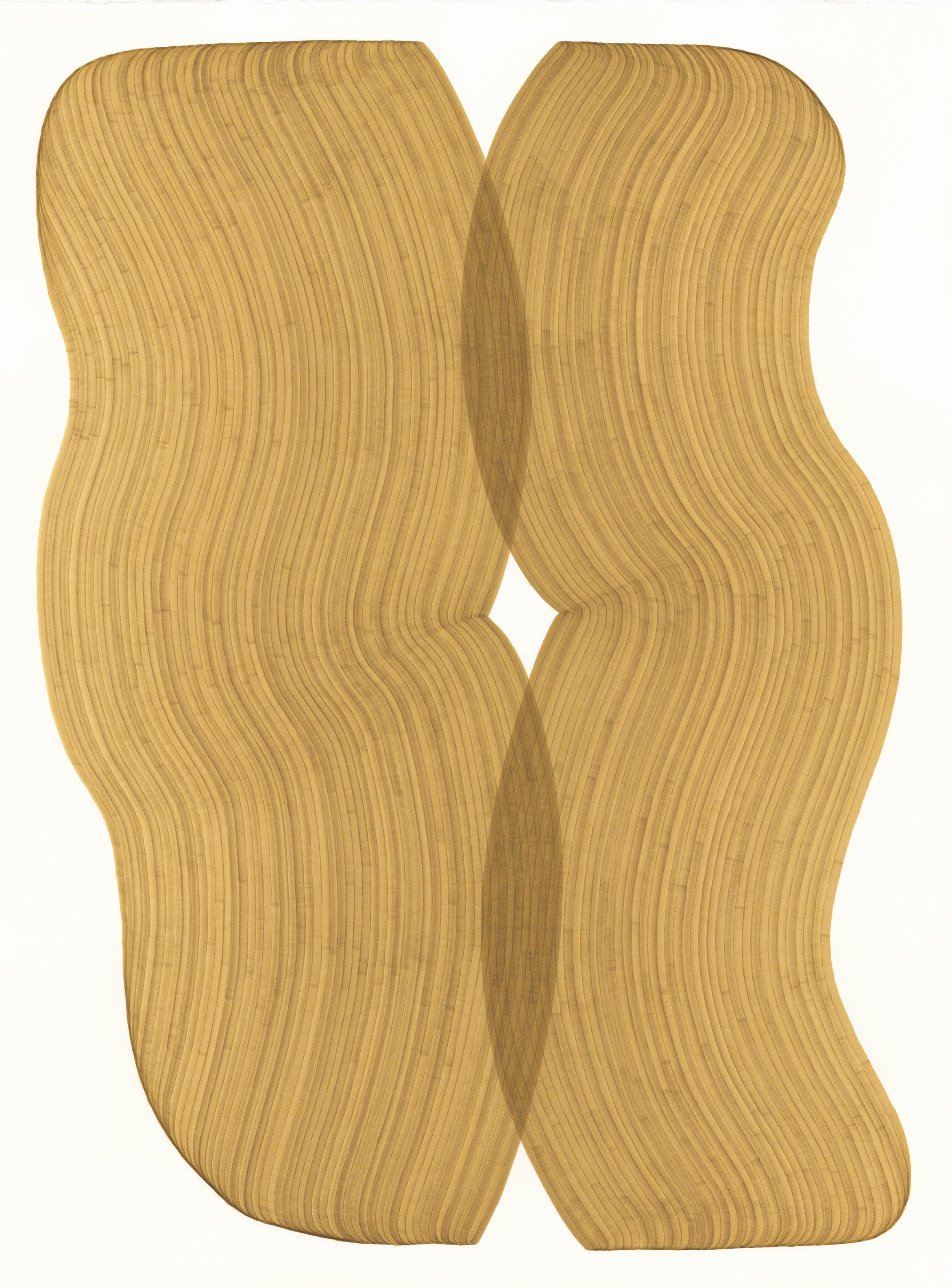 "Lignes 312" 2025 encre pigmentée sur papier aquarelle 300 lb pressé à chaud 40 x 30 in.