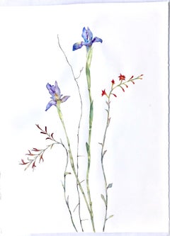 Paper Still-life Drawings and Watercolors