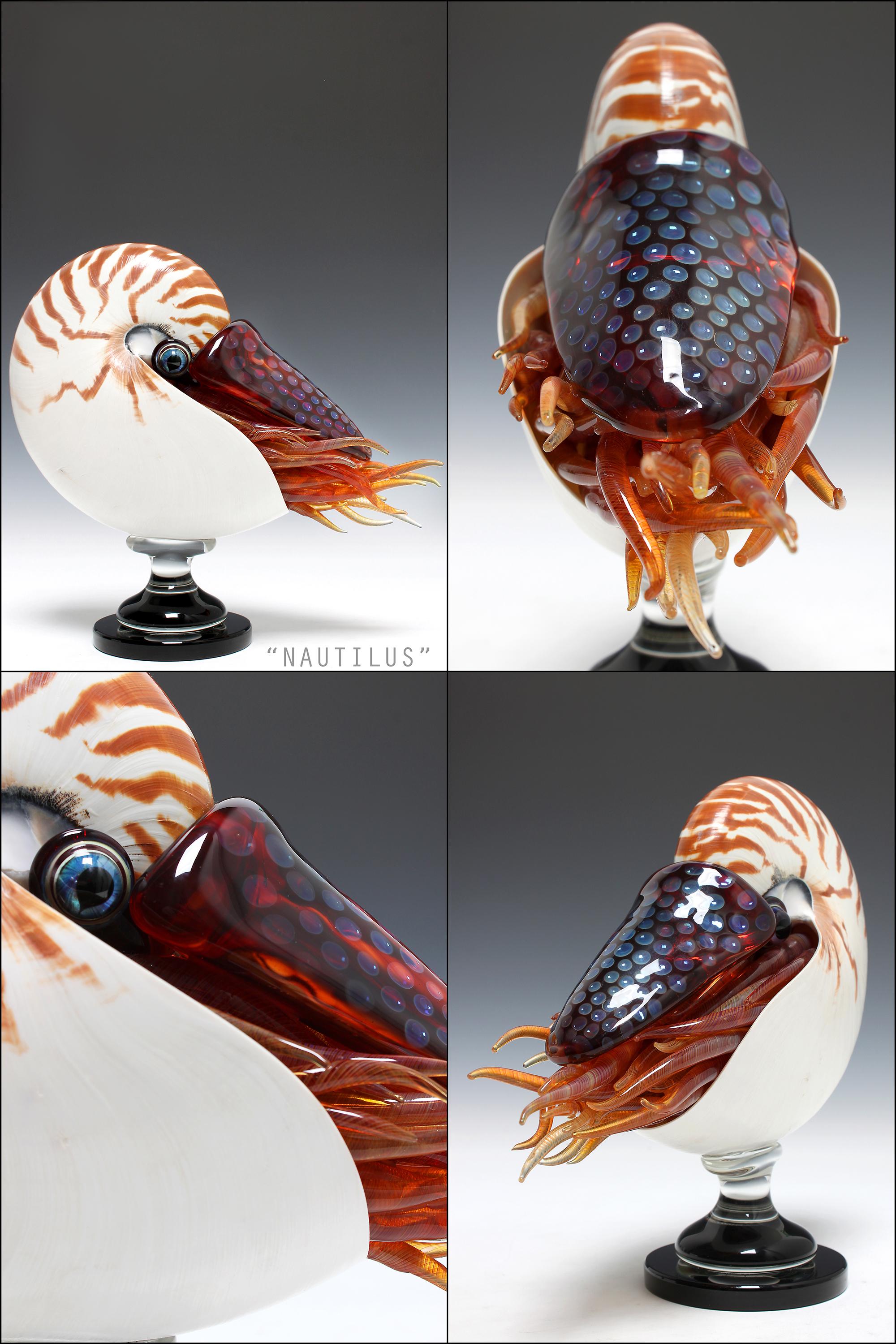 Nautilus - Sculpture by Joe Peters
