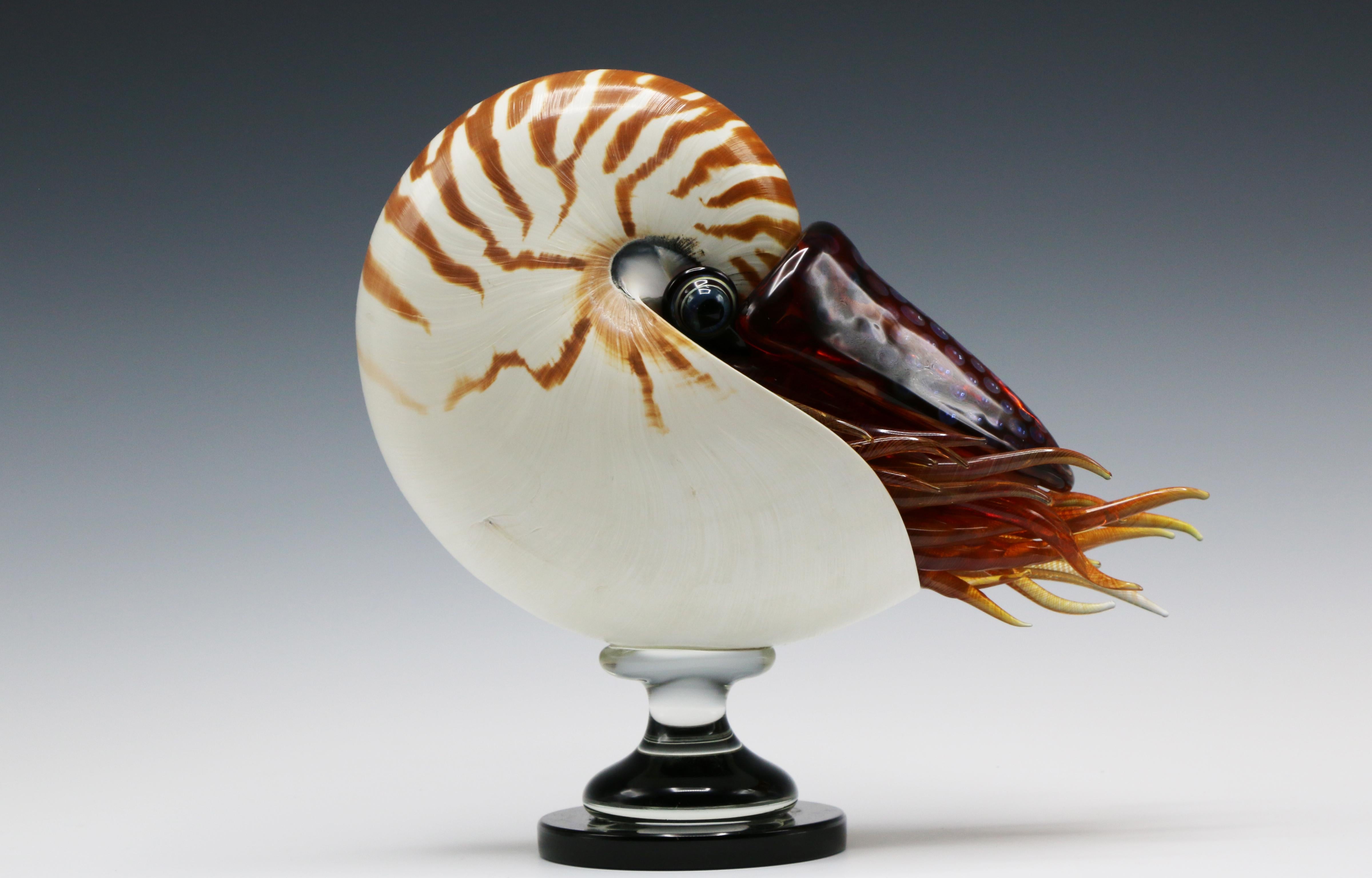 Joe Peters Figurative Sculpture - Nautilus