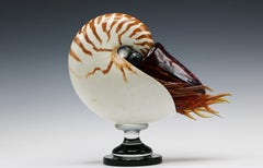 Nautilus