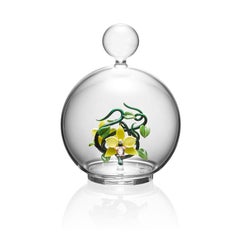 Sans titre (Orchidée jaune)