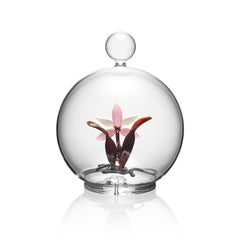 Sans titre (Pink Orchid)