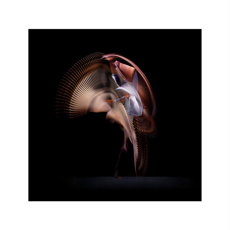 Giles Revell      Abstract Photograph - Abstract Dancers, White 3, 2019 - Contemporary Photography, Performance Art