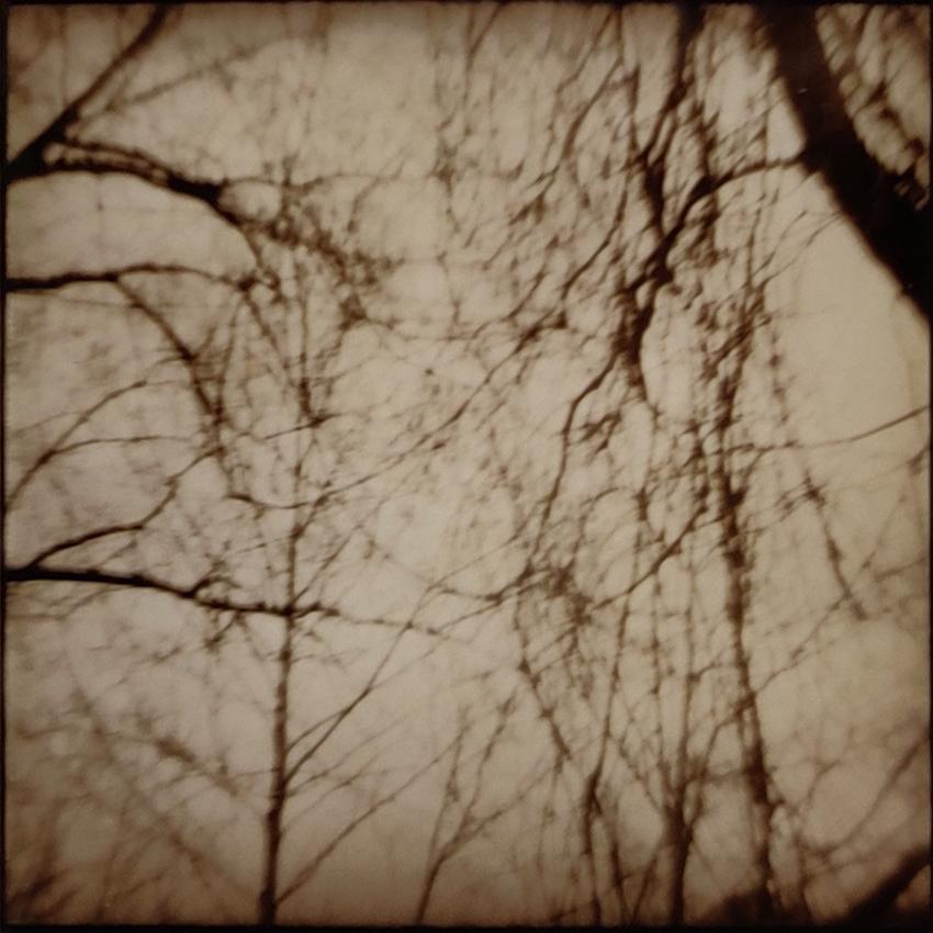 Nancy Rexroth Landscape Photograph - TREES CROSSING, POMEROY, OH, 1973