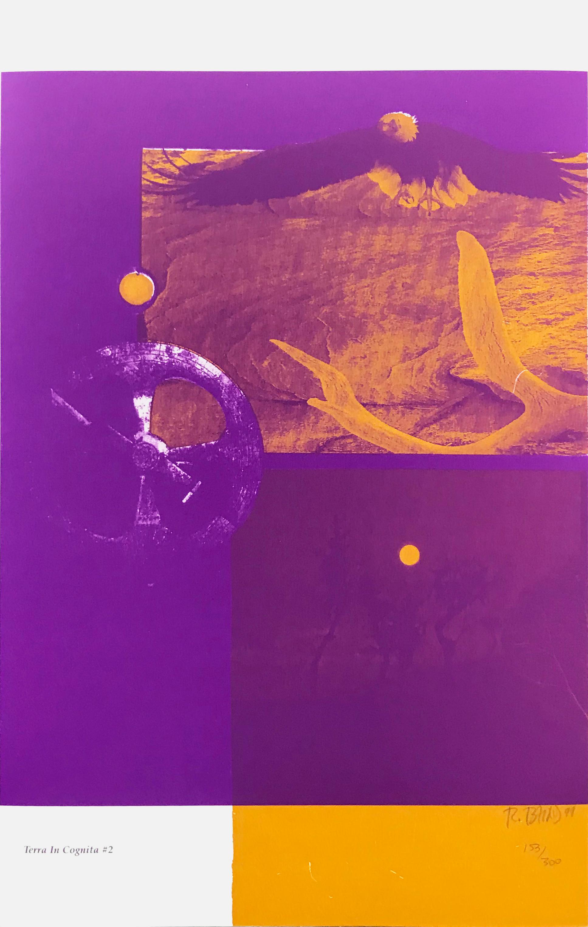 Rebecca Baird Figurative Print - TERRA IN COGNITA #2