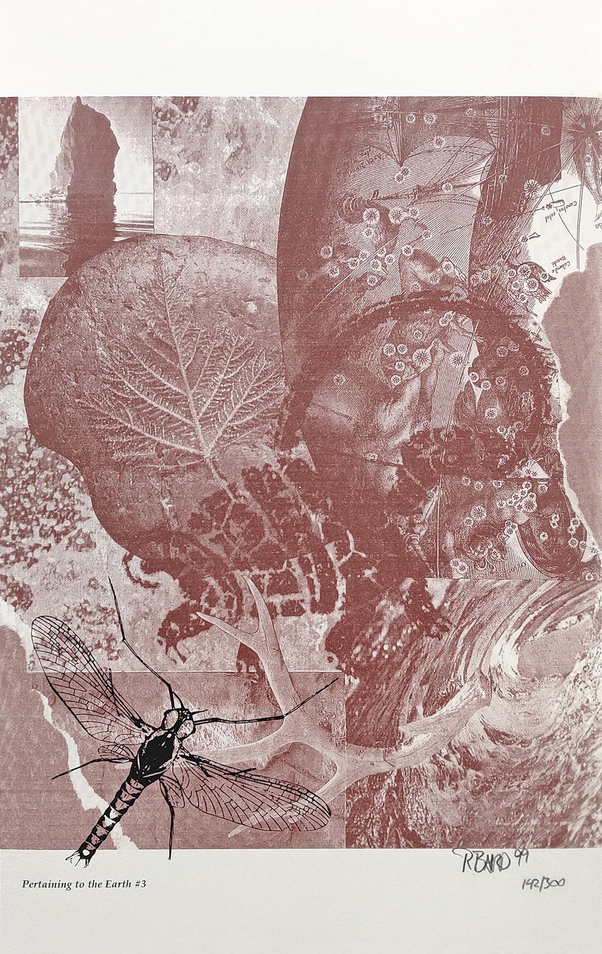 Rebecca Baird Animal Print - PERTAINING TO THE EARTH #3