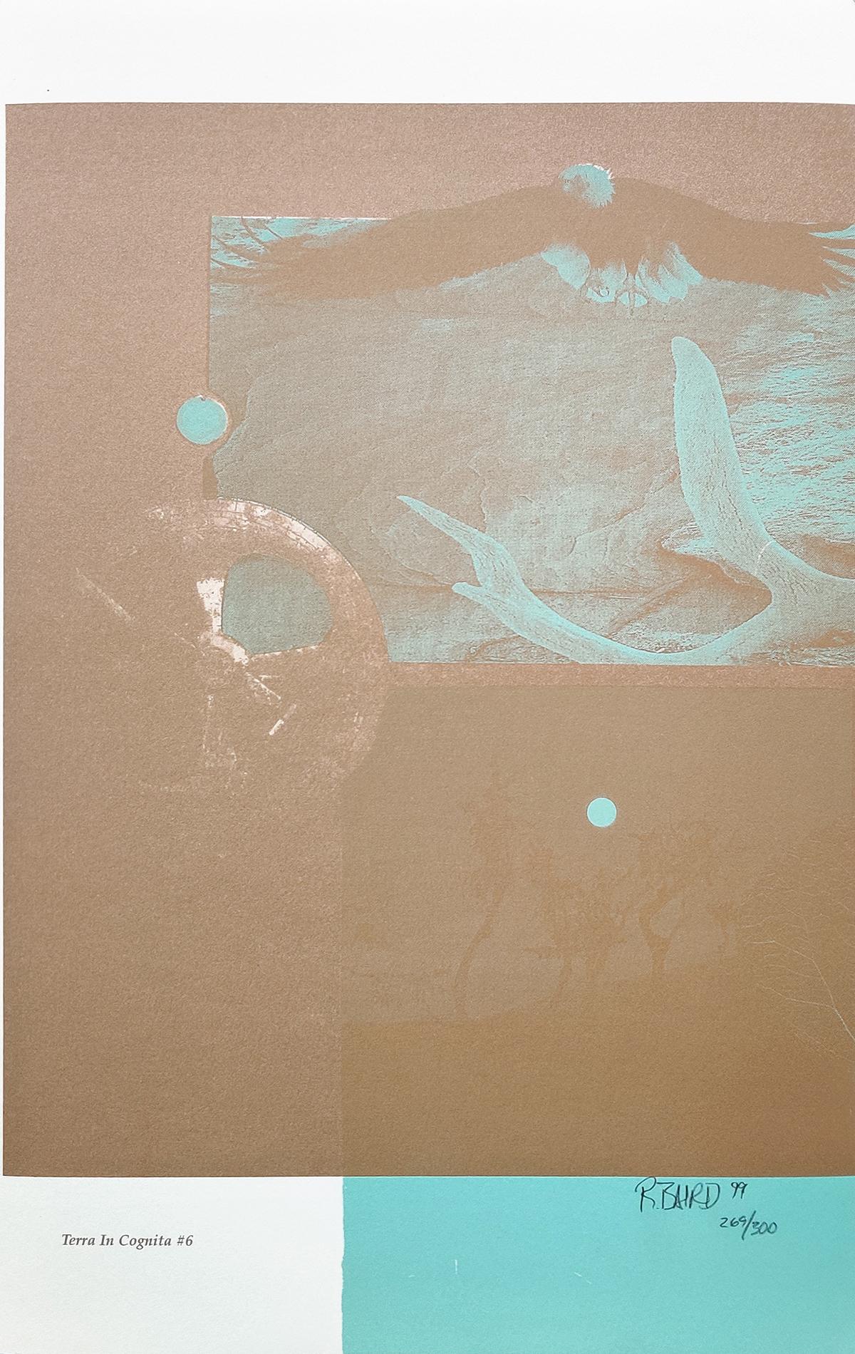 Rebecca Baird Figurative Print – TERRA IN COGNITA #6