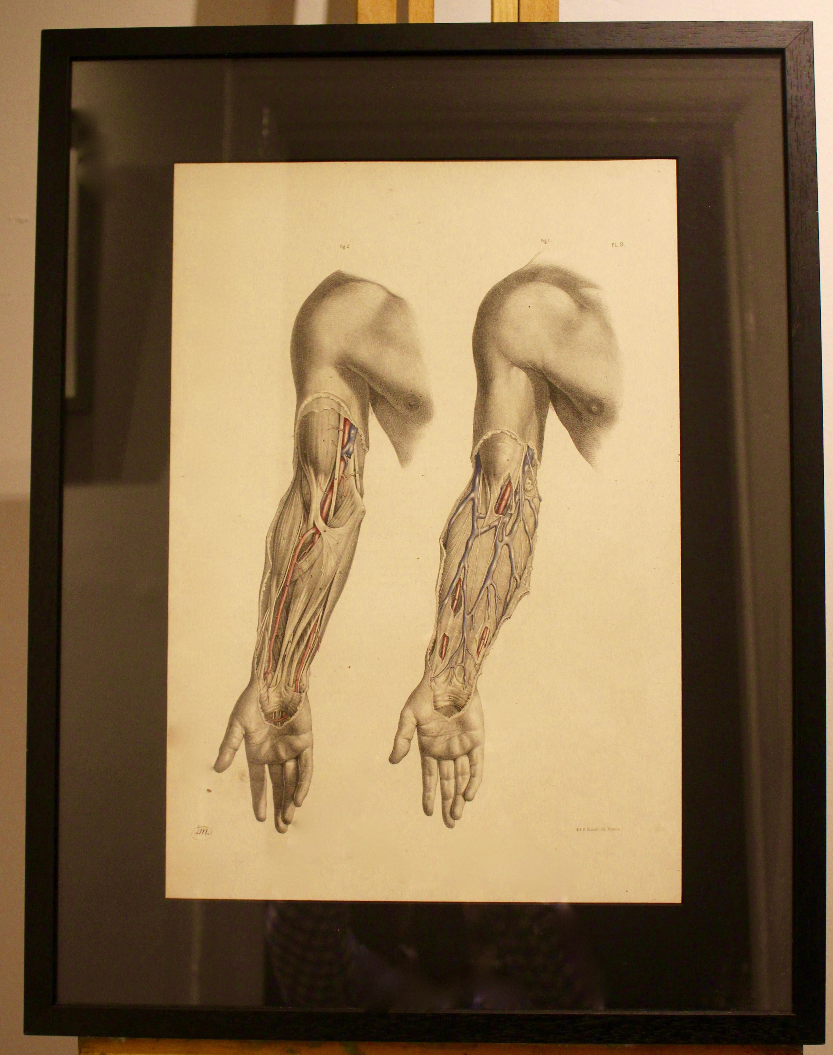 Joseph Maclise Nude Print - Anatomical Study