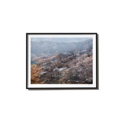 Casitas, 2017, from the Survivors series (Framed Color Landscape Photography)