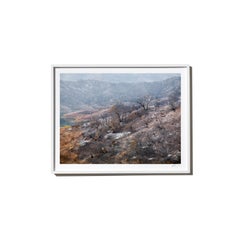 Casitas, 2017, from the Survivors series (Framed Color Landscape Photography)