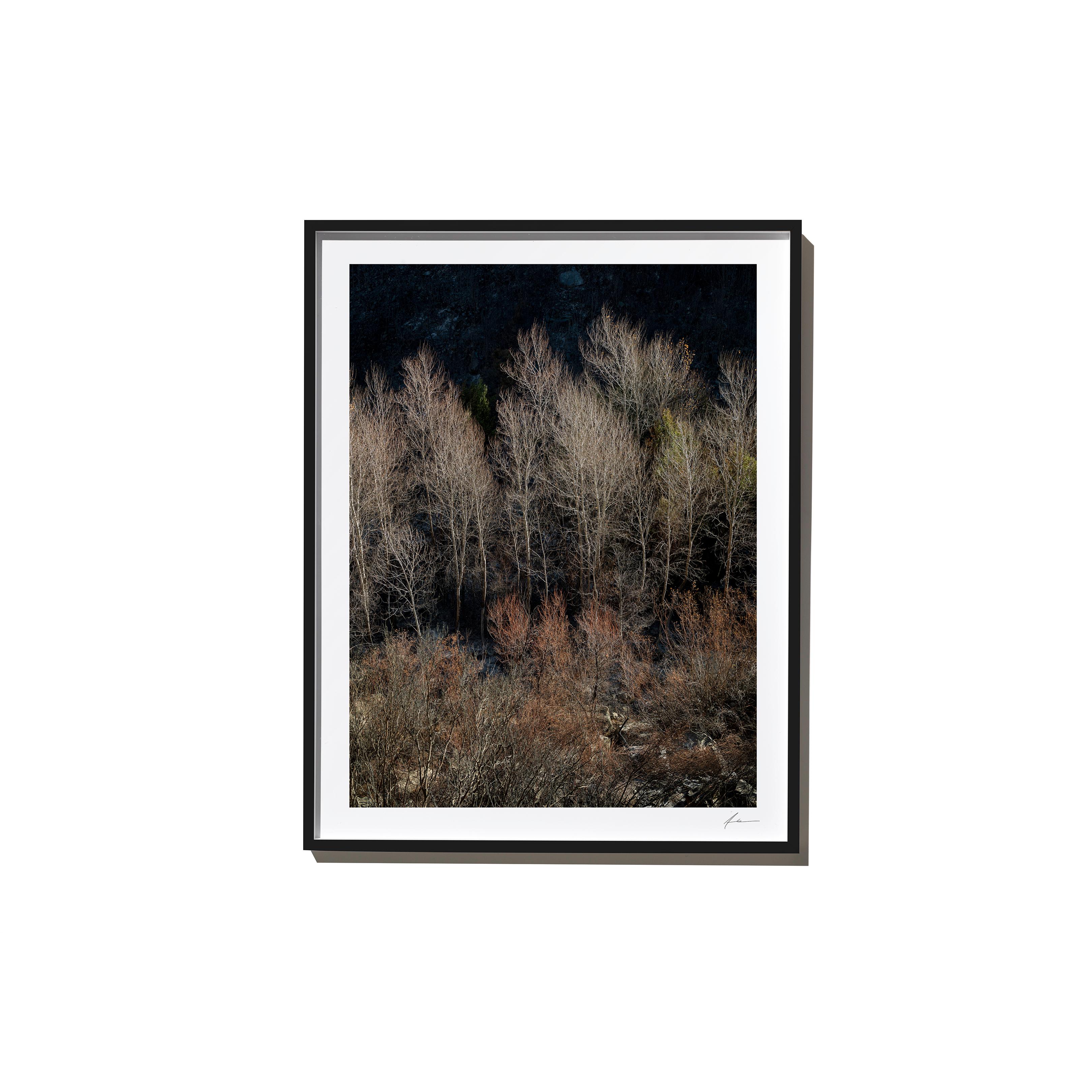 Forward, 2017, from the Survivors series (Framed Color Landscape Photography) - Print by Timothy Hogan