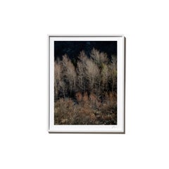 Used Forward, 2017, from the Survivors series (Framed Color Landscape Photography)