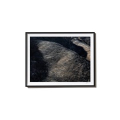 Hillside, 2017, from the Survivors series (Framed Color Landscape Photography)