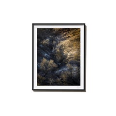 Dennison, 2017, from the Survivors series (Framed Color Landscape Photography)