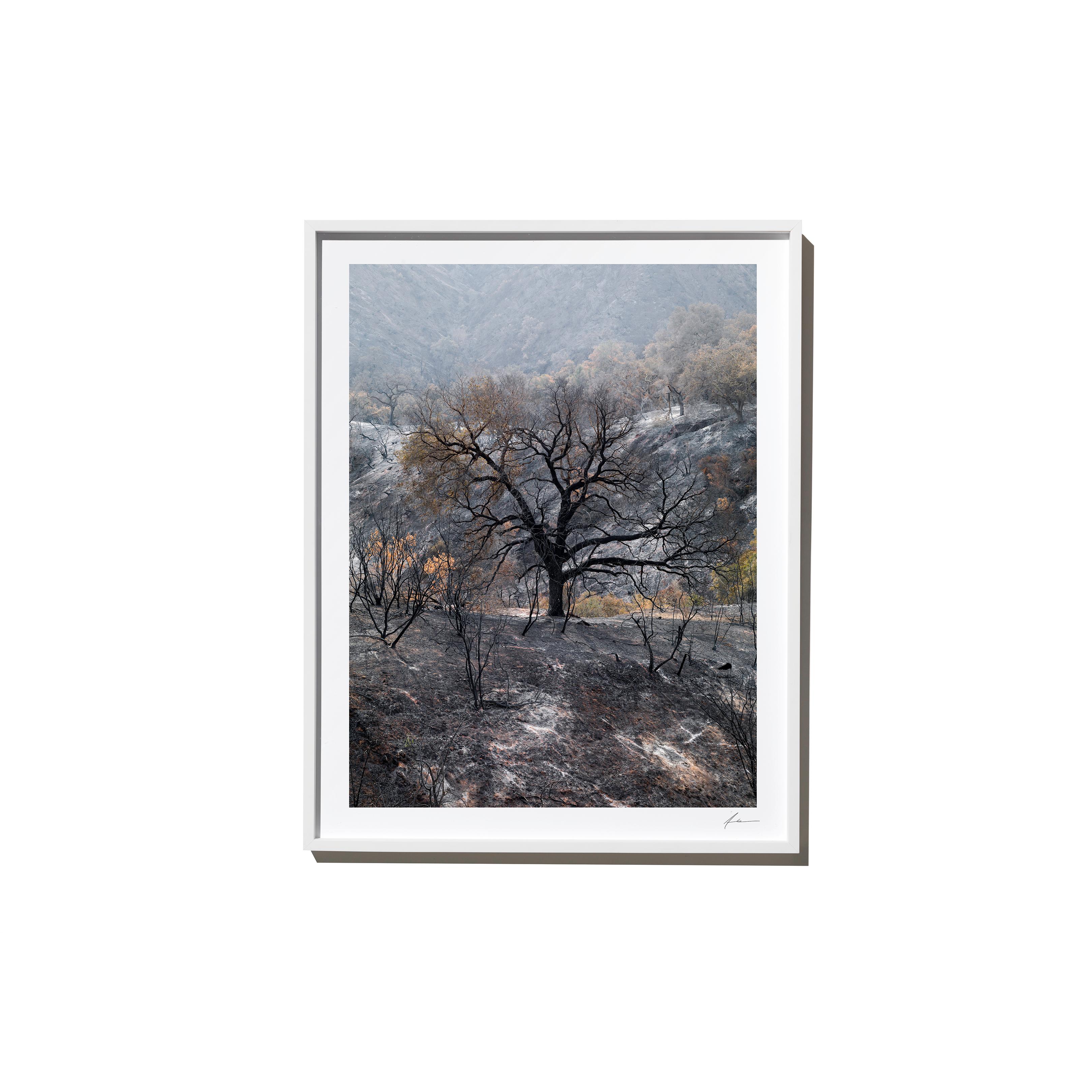 "Farther" is a framed color landscape photograph by Los Angeles-based photographer Timothy Hogan. 

Frame available in white or black, please specify on order. Please allow 15 days for production before shipping.

Editions and sizes as