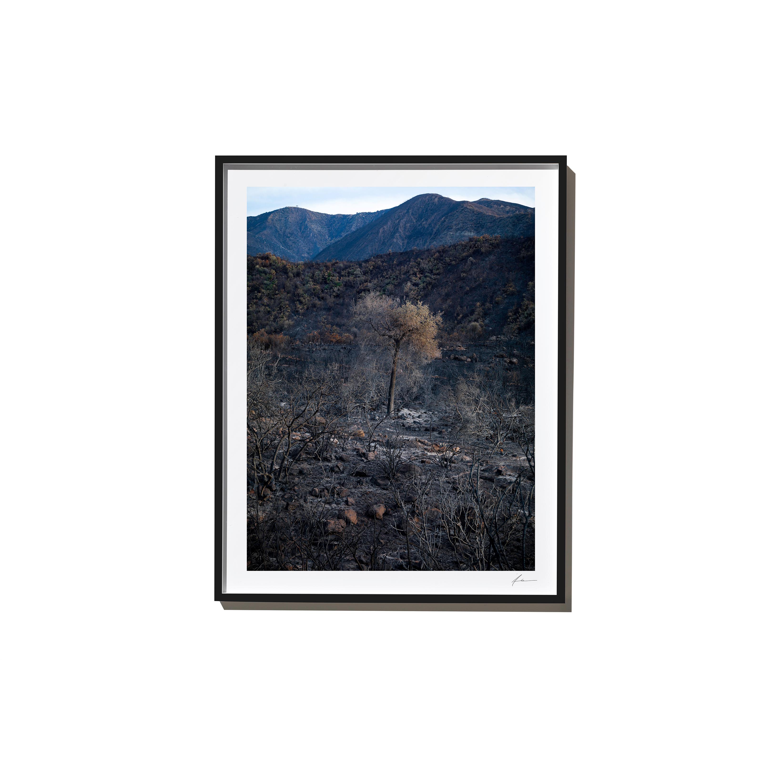 Impossible, 2017, from the Survivors series (Framed Color Landscape Photography) For Sale 1