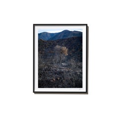 Impossible, 2017, from the Survivors series (Framed Color Landscape Photography)