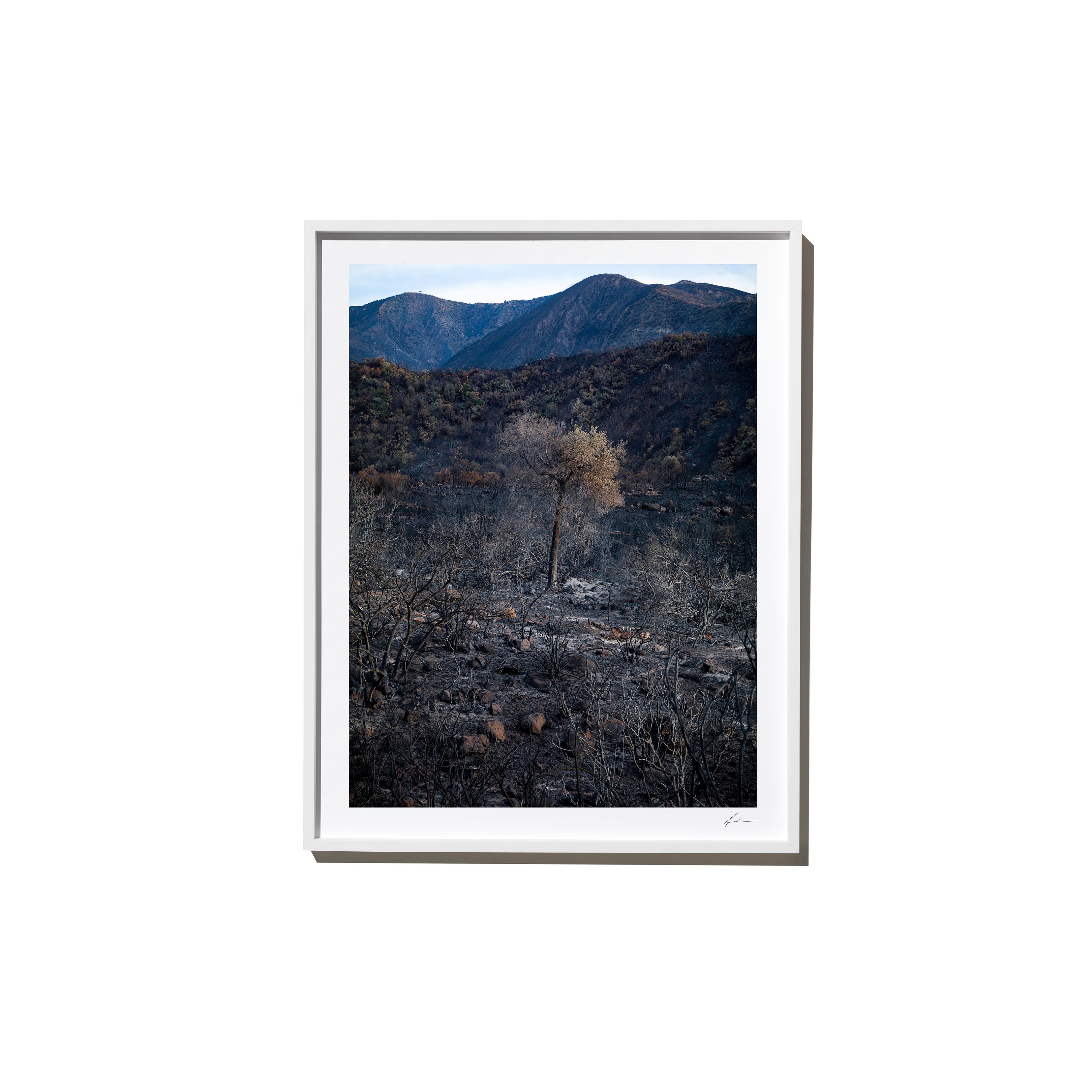 "Impossible" is a framed color landscape photograph by Los Angeles-based photographer Timothy Hogan. 

Frame available in white or black, please specify on order. Please allow 15 days for production before shipping.

Editions and sizes as