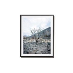 Riverbed, 2017, from the Survivors series (Framed Color Landscape Photography)