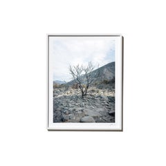 Riverbed, 2017, from the Survivors series (Framed Color Landscape Photography)