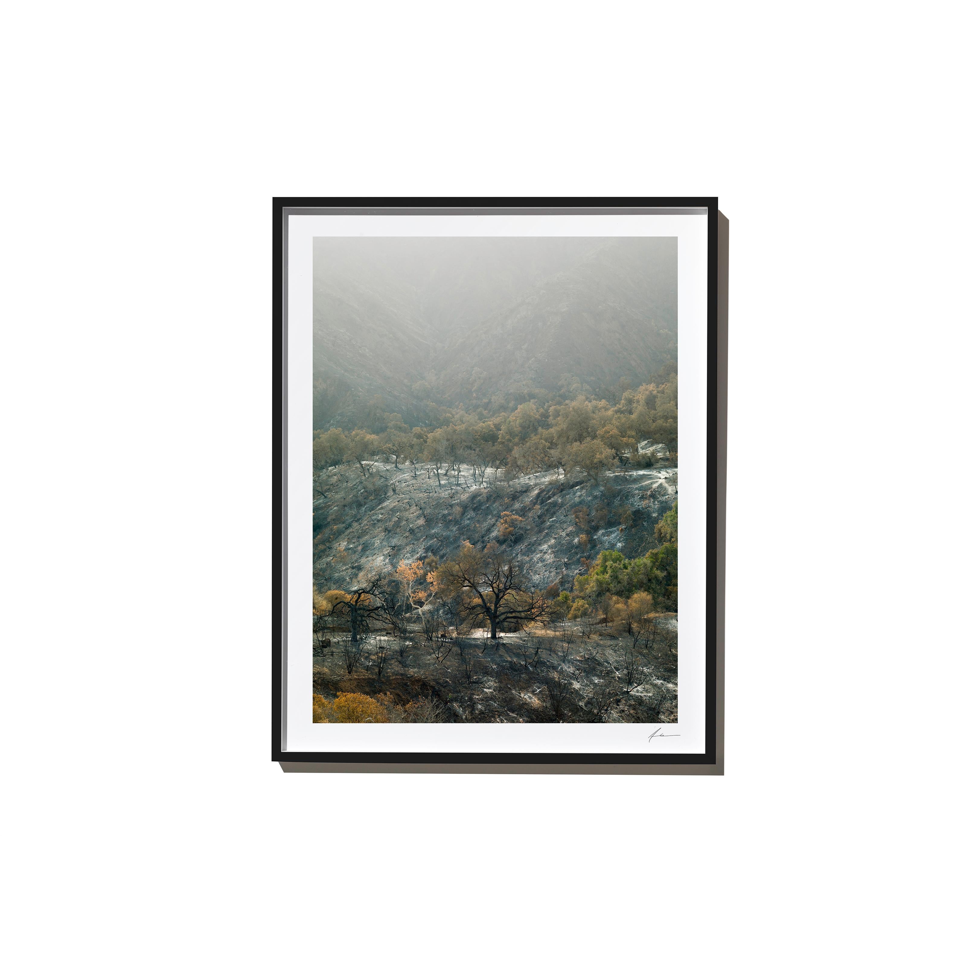 Vista, 2017, from the Survivors series (Framed Color Landscape Photography) For Sale 1