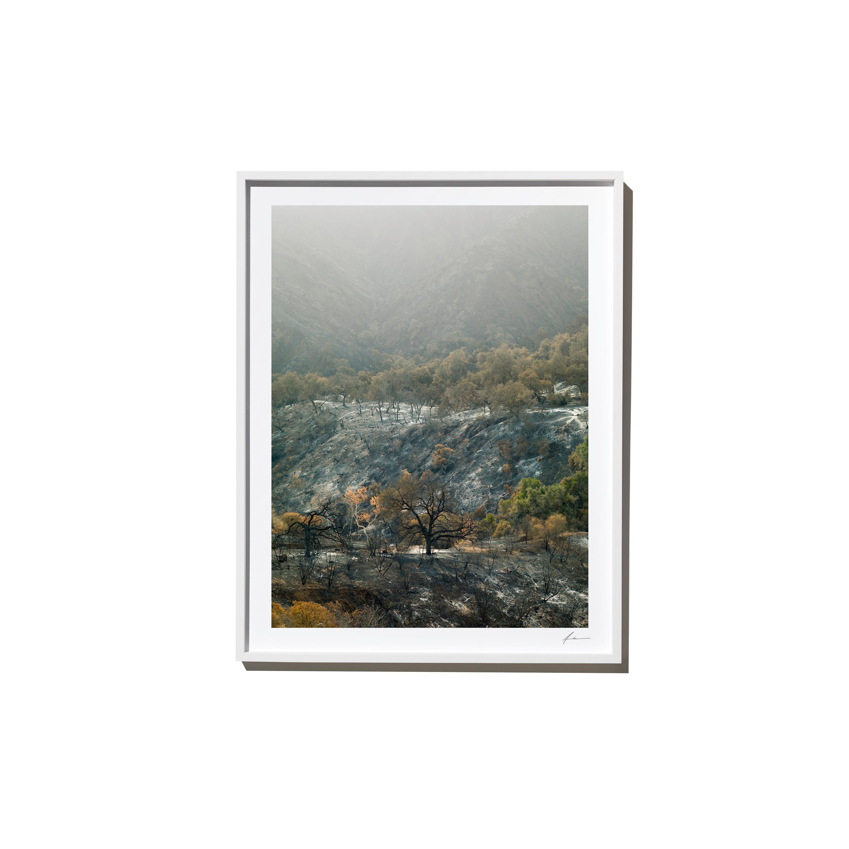 "Vista" is a framed color landscape photograph by Los Angeles-based photographer Timothy Hogan. 

Frame available in white or black, please specify on order. Please allow 15 days for production before shipping.

Editions and sizes as