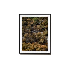 Close, 2017, from the Survivors series (Framed Color Landscape Photography)