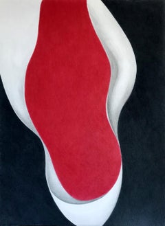 The Gift - Simple, Sensual Curves / Abstract Art: Coloured Pencil & Graphite 