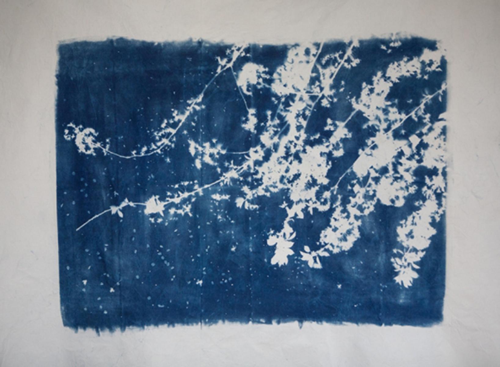 Climb High - contemporary dark blue white cyanotype photography floral textile - Art by Andrea Zvadova