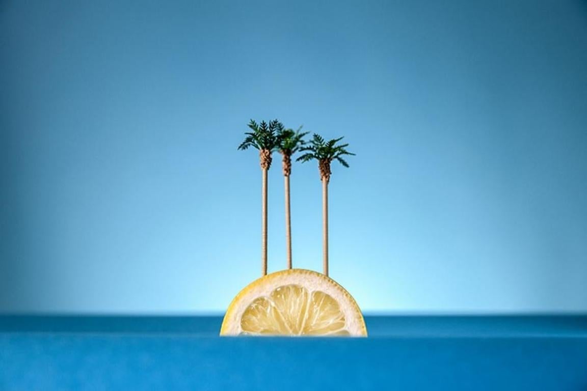 Sour Sand - colourful photograph palm trees - Print by Will Cooper