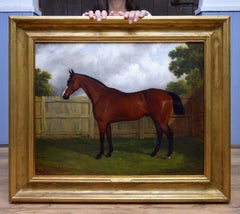 Kardinal – Mitte des 19. Jahrhunderts, Equine-Ölgemälde, Porträt einer englischen Vollblutpferdchen