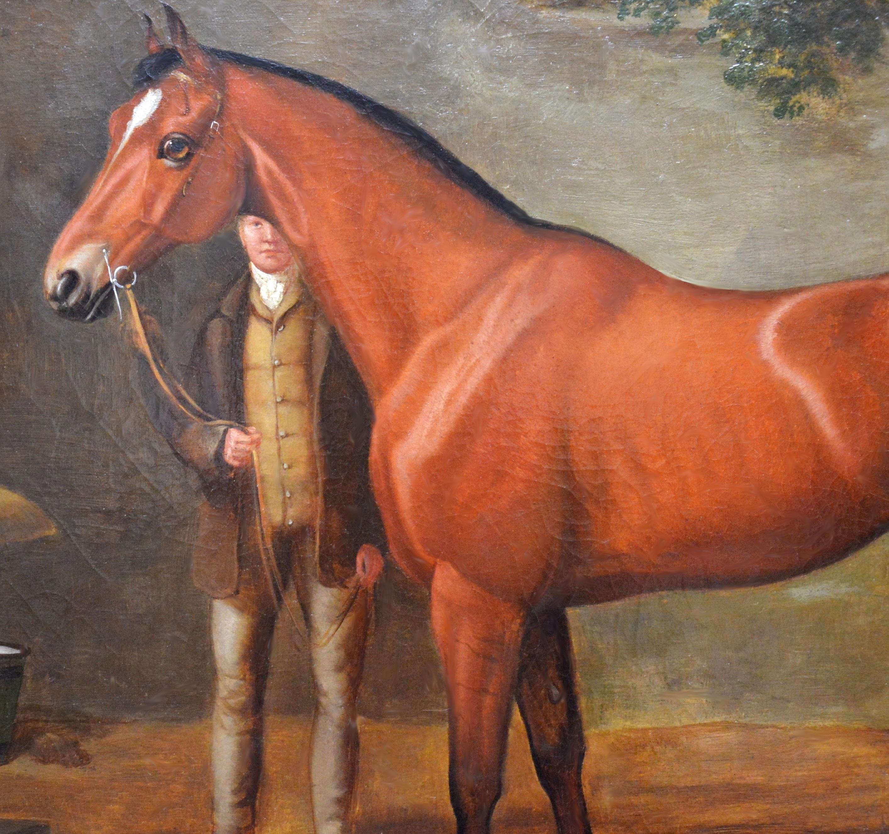 The Collier - Mid 19th Century Equine Oil Painting Portrait English Thoroughbred - Brown Portrait Painting by John Paul