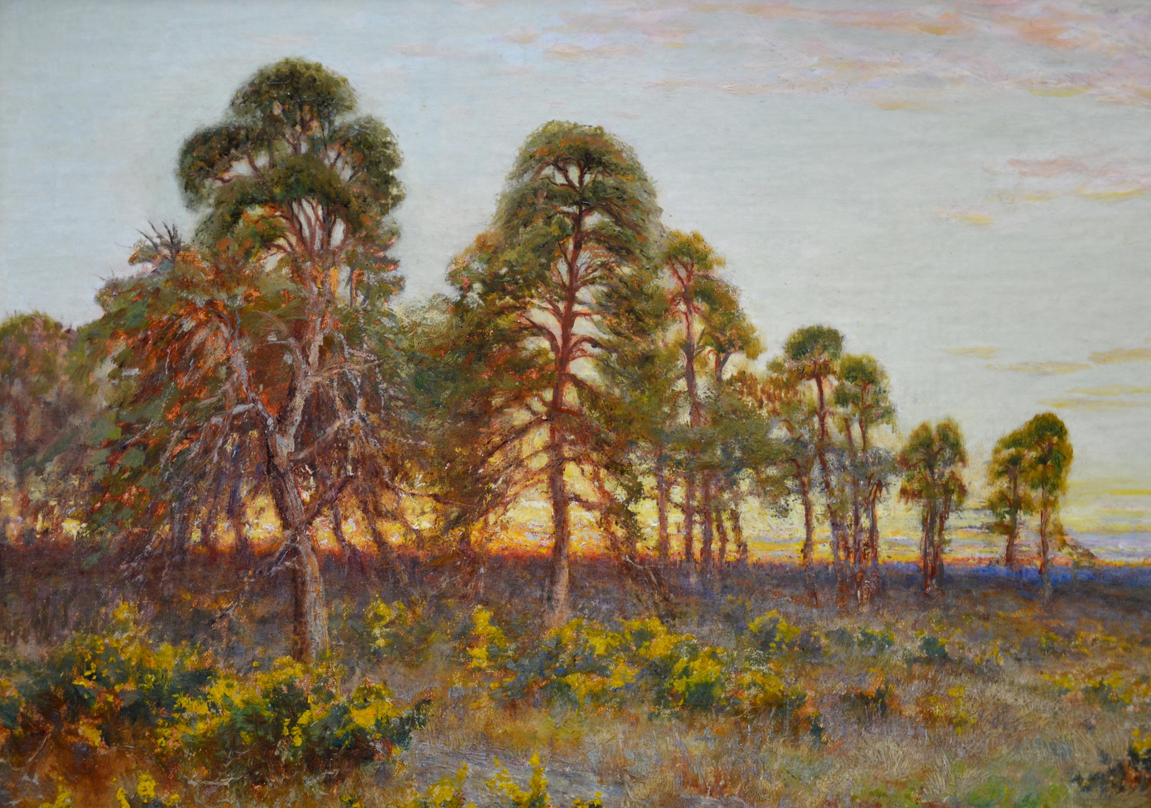 A fine 19th century landscape oil on canvas depicting a ‘Sunset on a Surrey Common’ by the listed English painter James Edward Townshend RBA (1861-1949). The painting is signed by the artist and hangs in a superb quality newly commissioned, bespoke