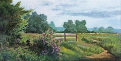 Rosa de verano
