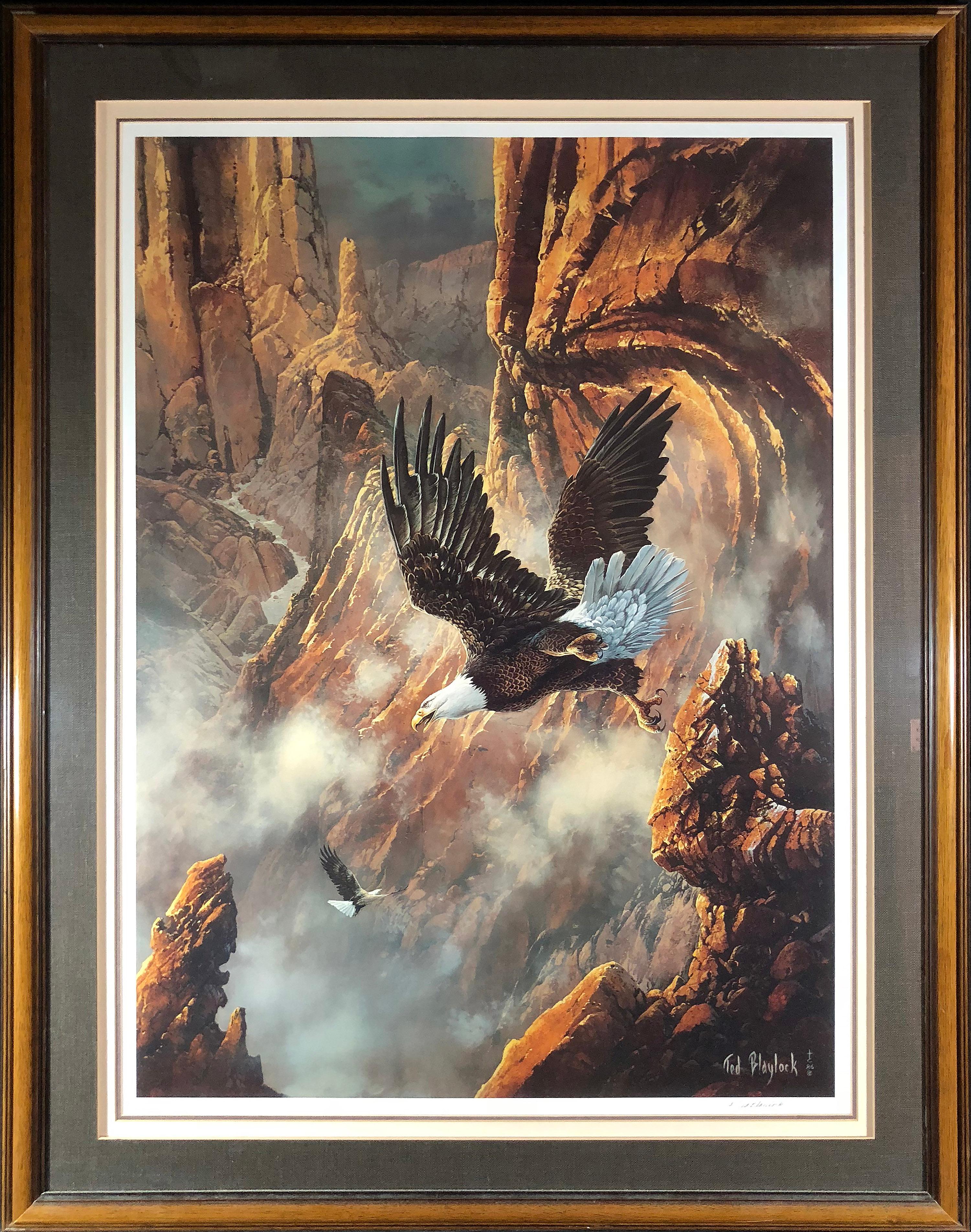Aigle américain (Nest Builder III) - Print de Ted Blaylock
